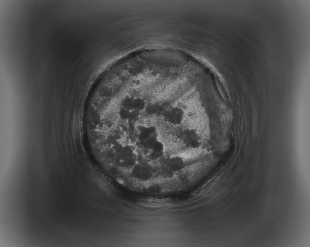 X0000083600487200703021917