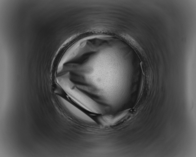 X0000083600488200703021917