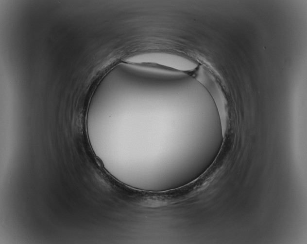 X0000083600489200703021917