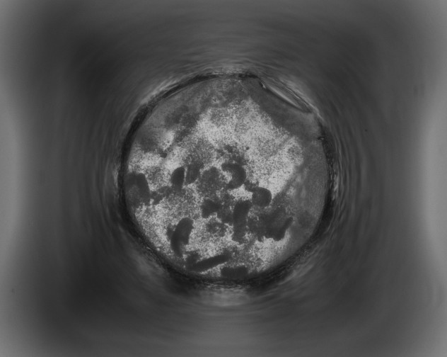 X0000083600491200703021917