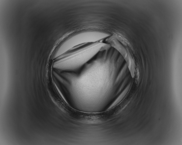 X0000083600492200703021917