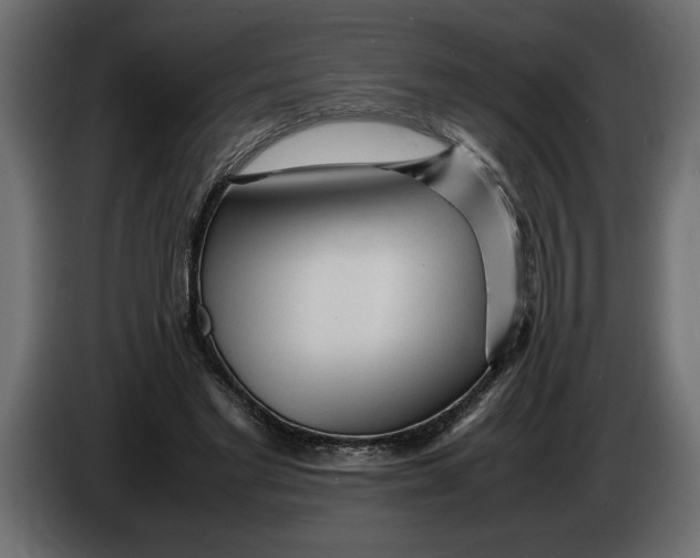 X0000083600493200703021917