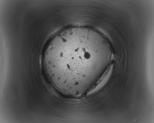 X0000083600494200703021917