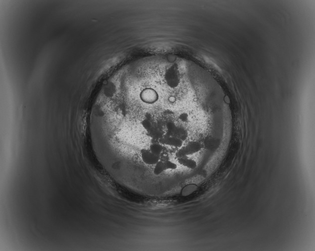 X0000083600495200703021917