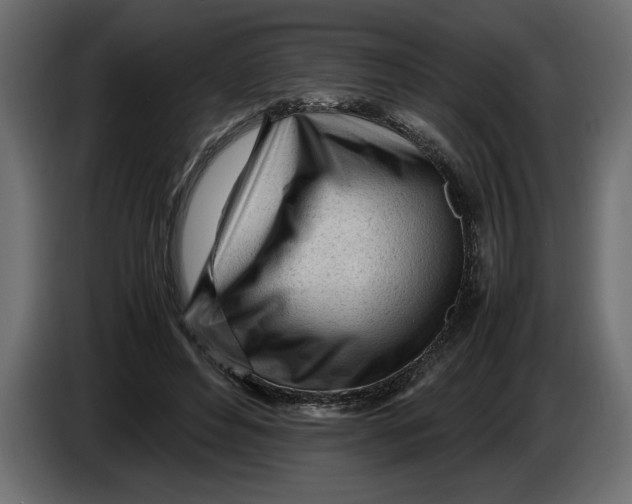 X0000083600496200703021917