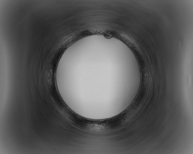 X0000083600498200703021917