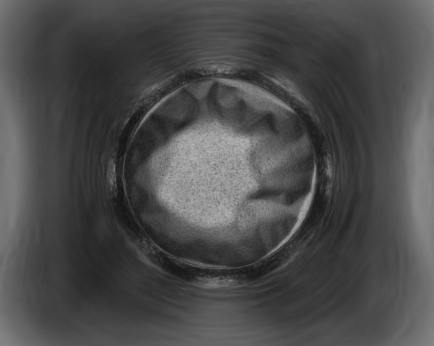 X0000083600500200703021917