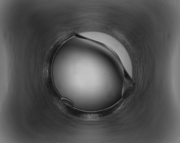 X0000083600501200703021917