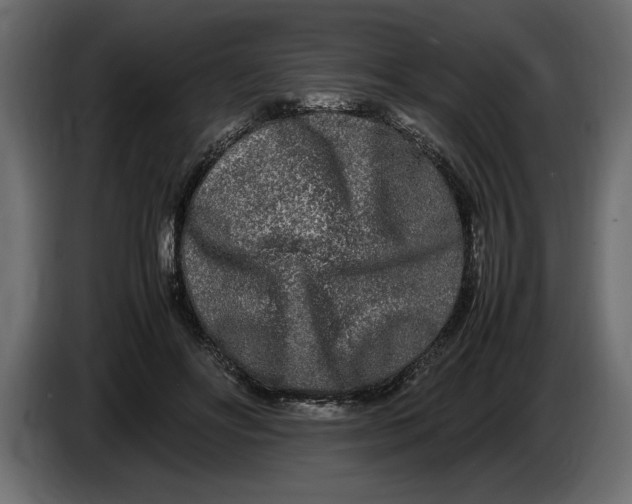 X0000083600502200703021917