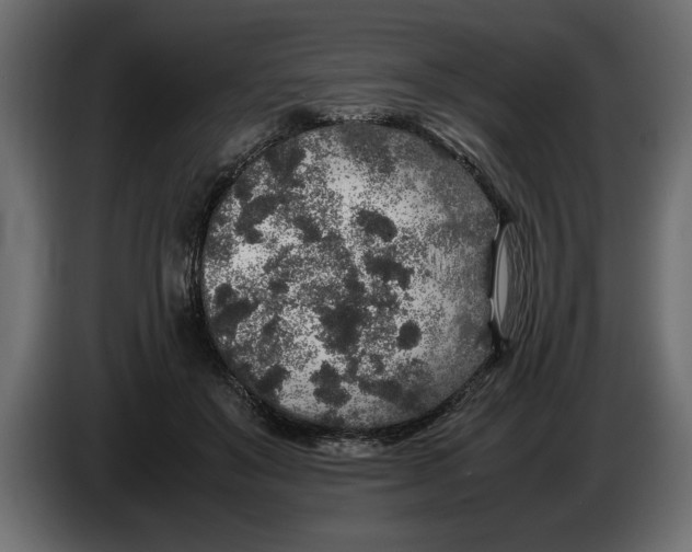 X0000083600503200703021917