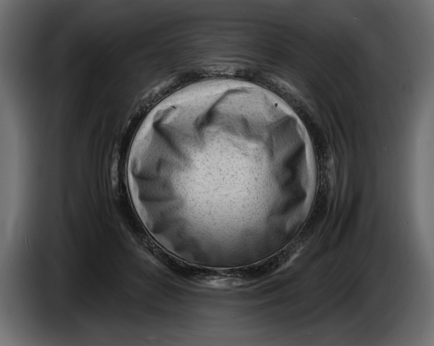 X0000083600504200703021917