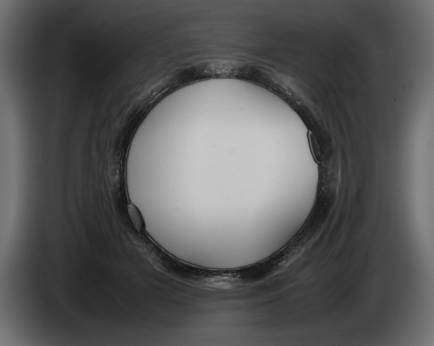 X0000083600505200703021917