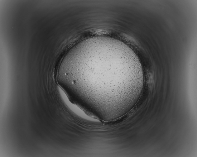 X0000083600506200703021916