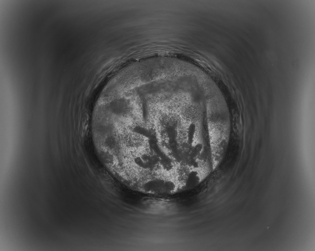 X0000083600507200703021916