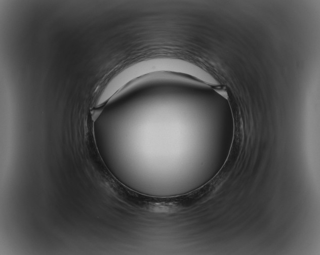 X0000083600508200703021916