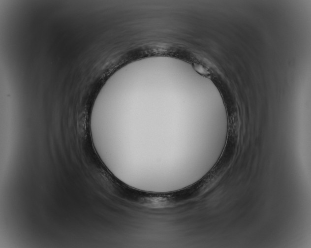 X0000083600509200703021916