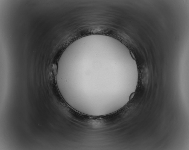 X0000083600510200703021916