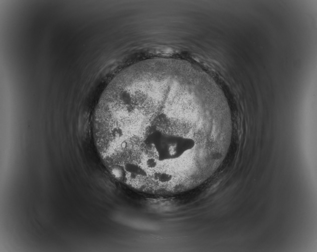 X0000083600511200703021916