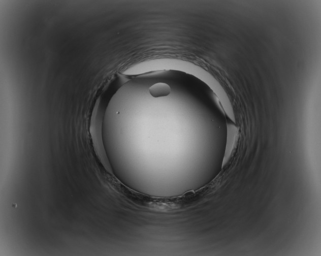 X0000083600512200703021916