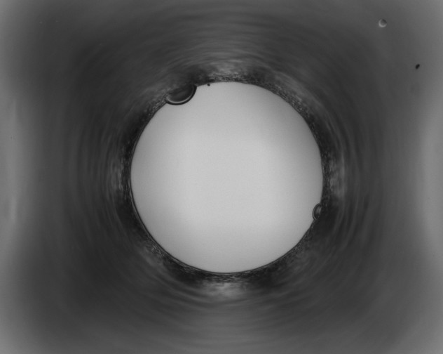 X0000083600514200703021916