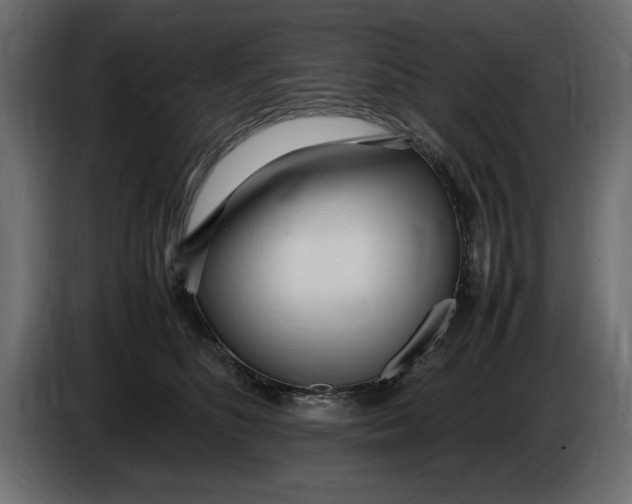 X0000083600516200703021916