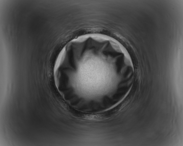 X0000083600517200703021916