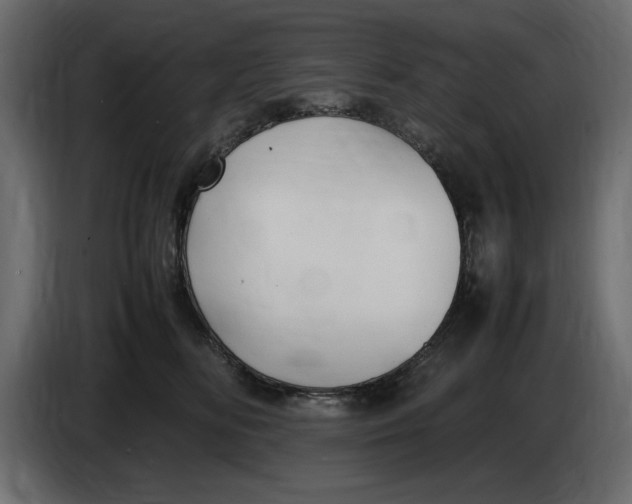 X0000083600518200703021916