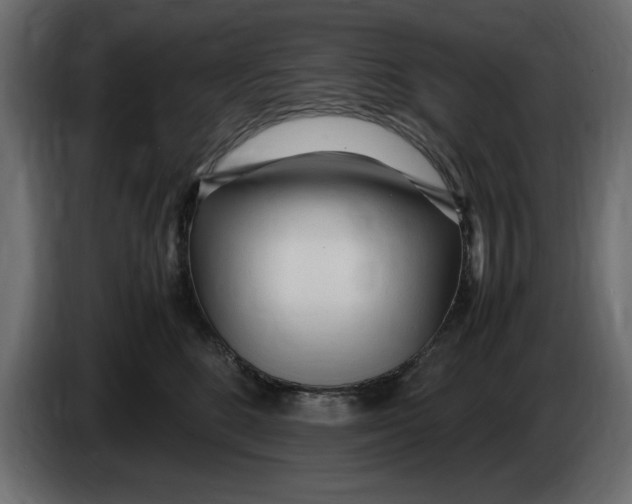 X0000083600520200703021916