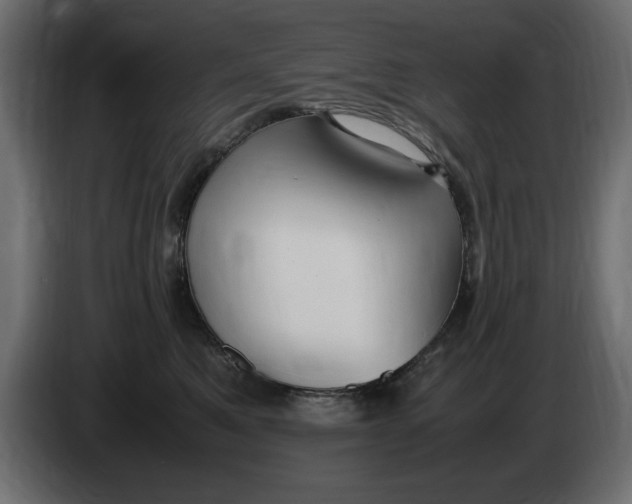 X0000083600521200703021916