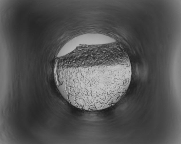 X0000083600523200703021916