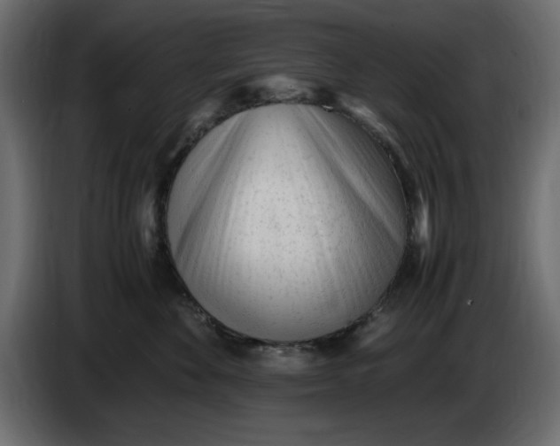 X0000083600524200703021916