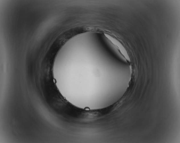 X0000083600525200703021916