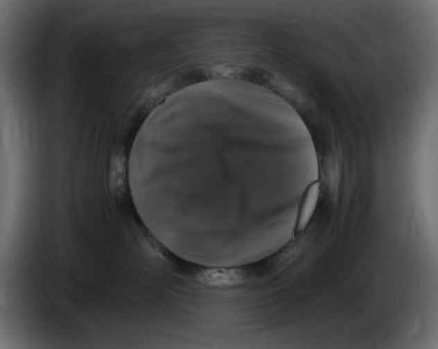 X0000083600526200703021916