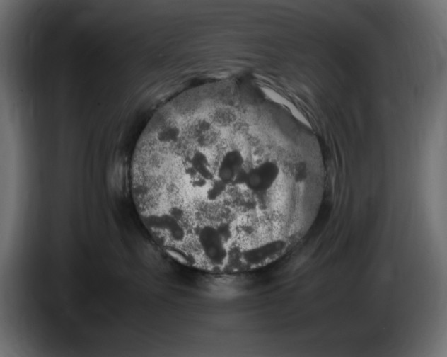 X0000083600527200703021916