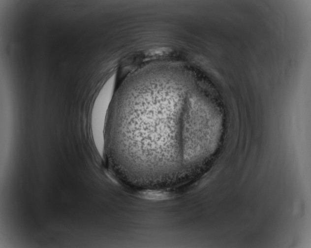 X0000083600528200703021916