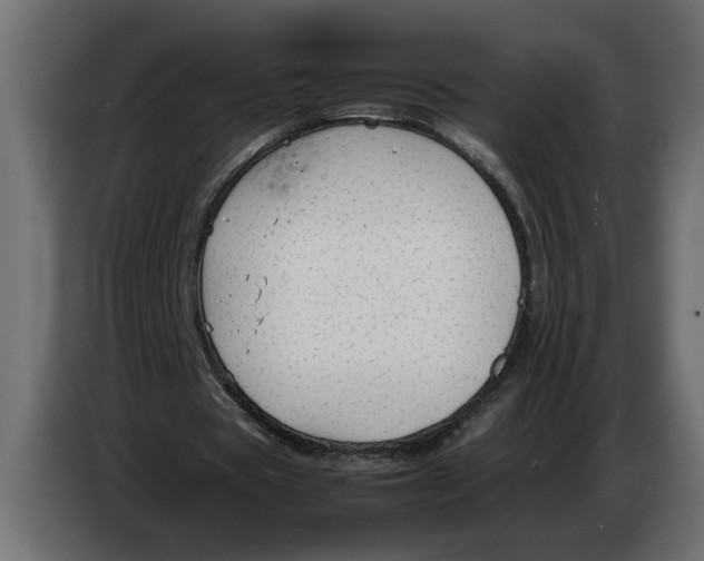 X0000083600529200703021915