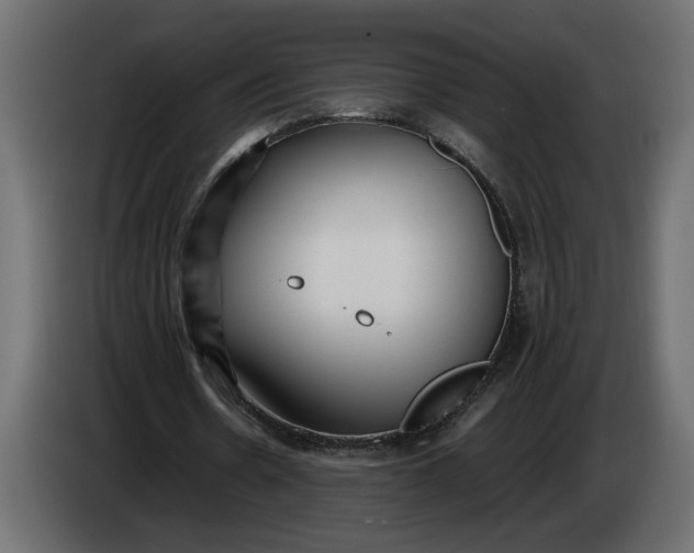 X0000083600530200703021915