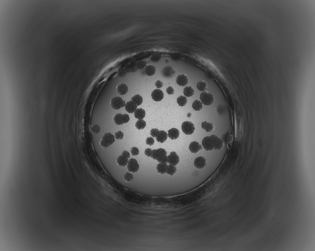 X0000083600531200703021915