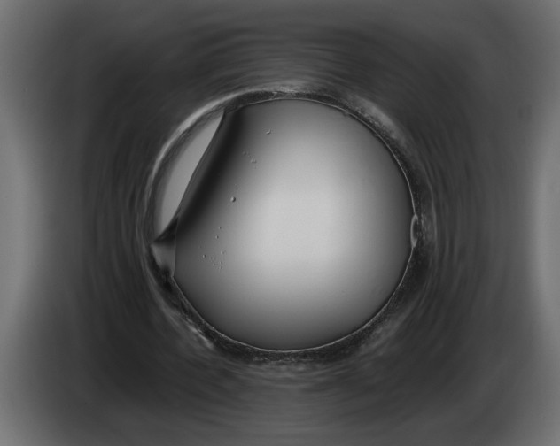 X0000083600532200703021915