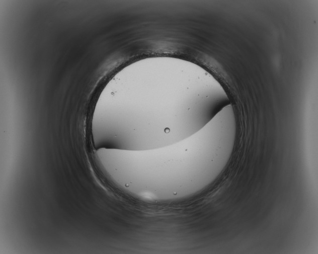 X0000083600534200703021915