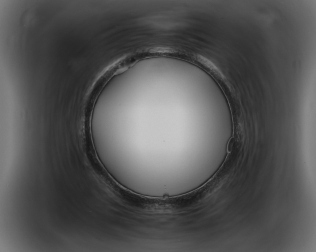 X0000083600535200703021915