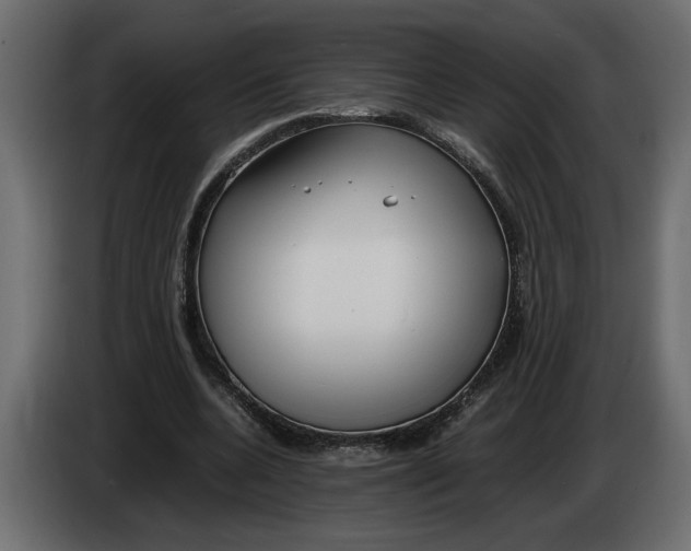 X0000083600536200703021915