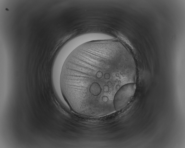 X0000083600537200703021915