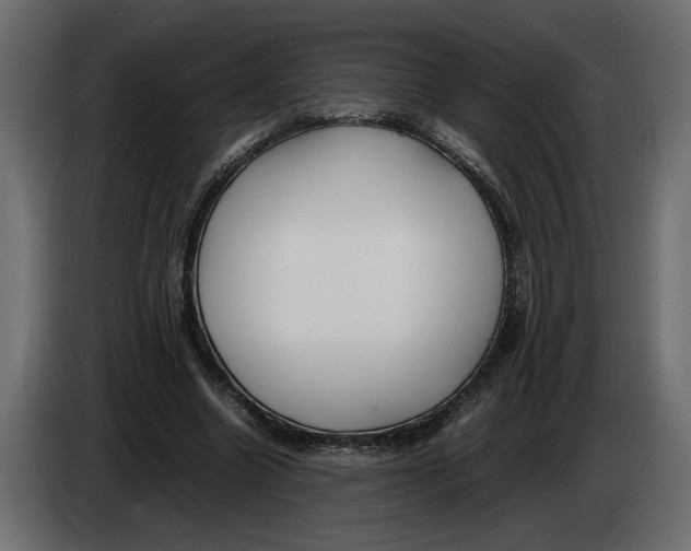 X0000083600538200703021915