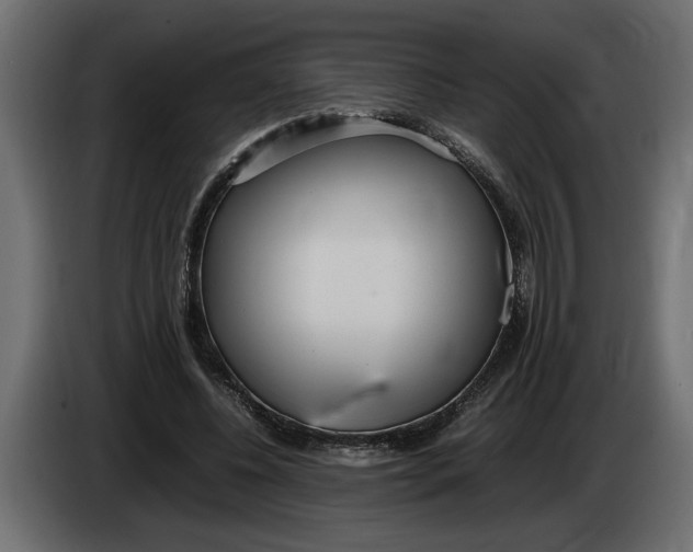 X0000083600540200703021915