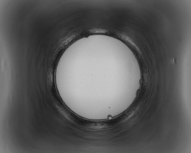 X0000083600541200703021915