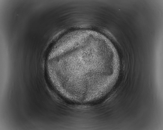 X0000083600542200703021916