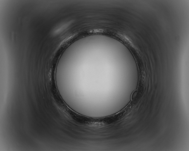 X0000083600543200703021916