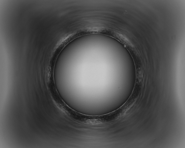 X0000083600544200703021916