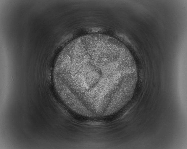 X0000083600545200703021916